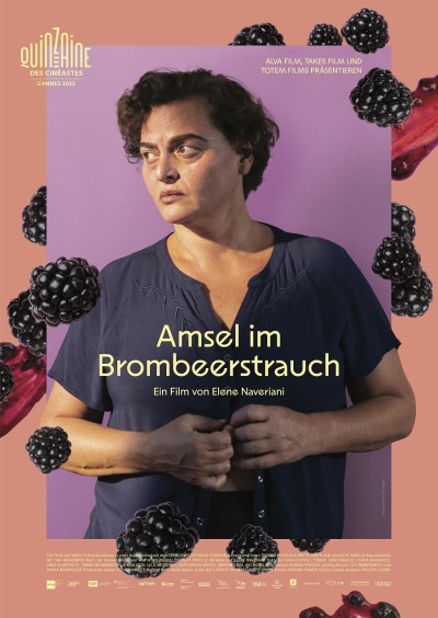 Poster Amsel im Brombeerstrauch - Blackbird Blackbird Blackberry