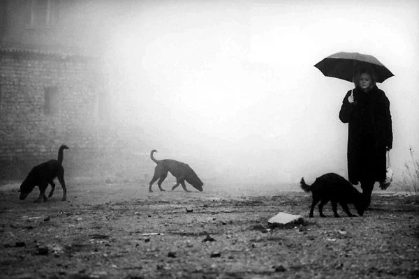 Verdammnis - Kárhozat