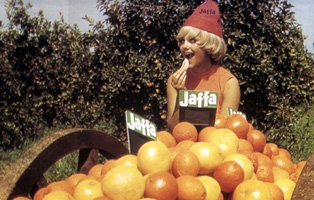 Jaffa – The orange’s clockwork