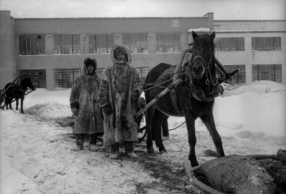 Russisch Dok: Varlam Shalamov - Erfahrung eines Jünglings