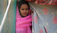 Wilaya