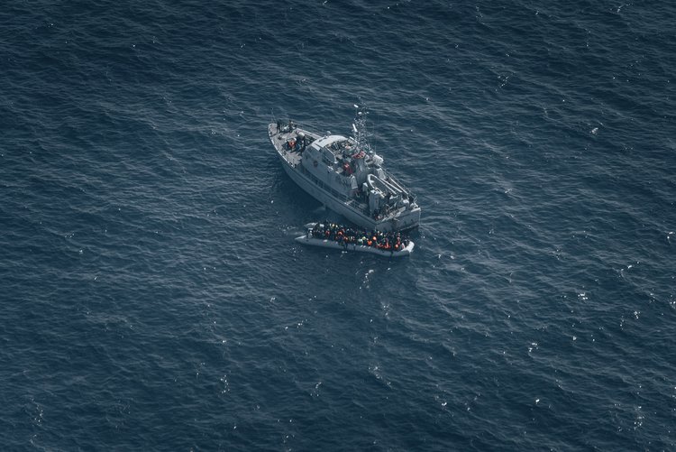 Bild